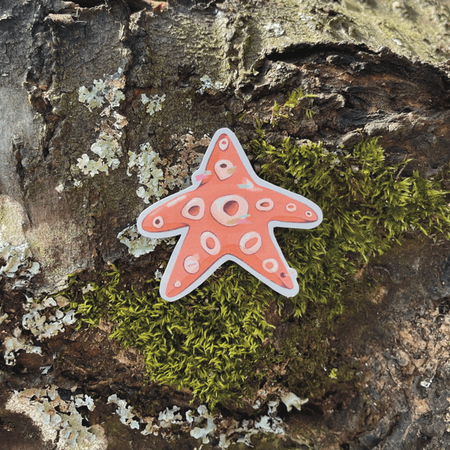 Sticker &quot;Etoile de mer&quot;