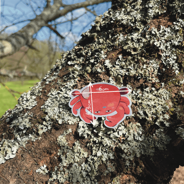 Sticker "Crabe"
