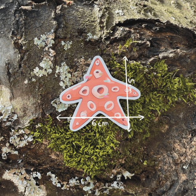 Sticker "Etoile de mer"
