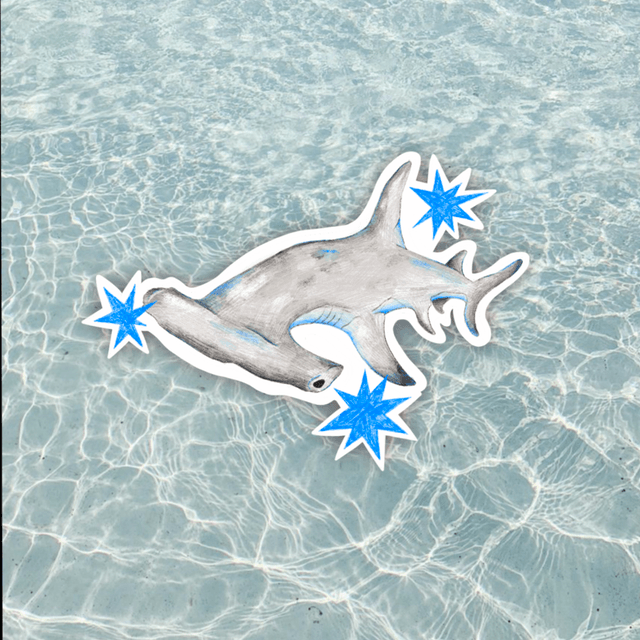 sticker requin marteau