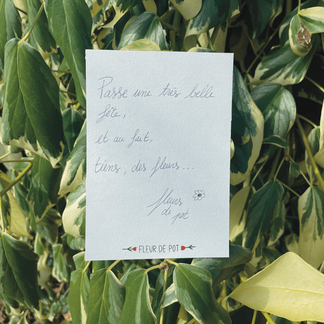 Carte "Tiens, des fleurs"